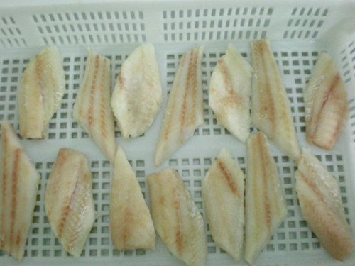 Pollock Normal Portion