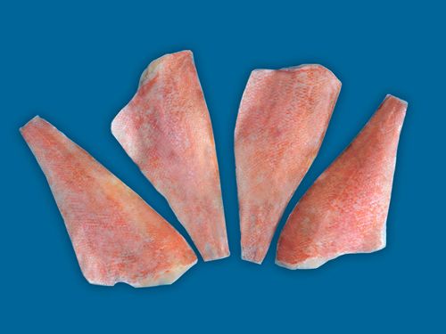 Redfish Fillet